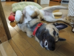 DSCN1730.JPG
